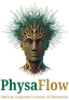 PhysaFlow logo